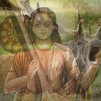 Хакимовщина 4- История об охотнике Мригари Хакимовщина 4- История об охотнике Мригари